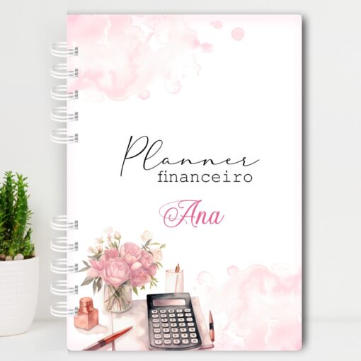 Planner Financeiro Feminino 3