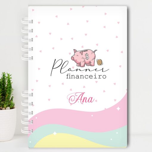 Planner Financeiro Feminino 1